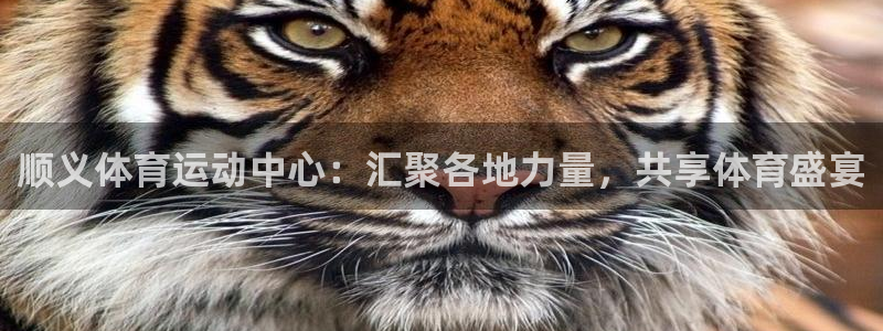 意昂4集团官网