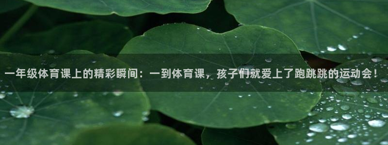 意昂42体育登录入口