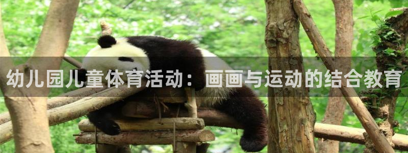 东莞市意昂4电子科技有限公司