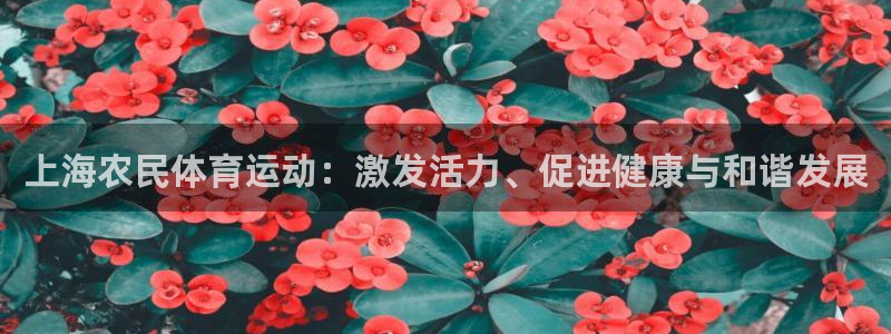 意昂42体育登录入口