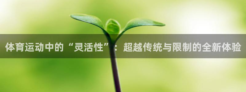 意昂4登录平台