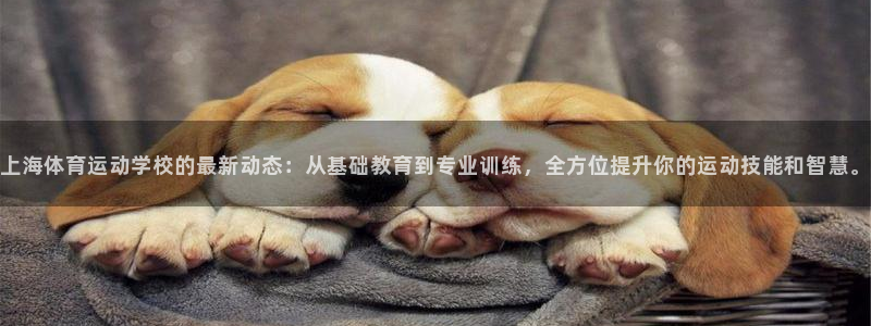 意昂4平台招商