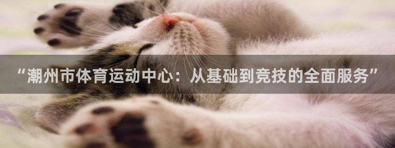 意昂43登录