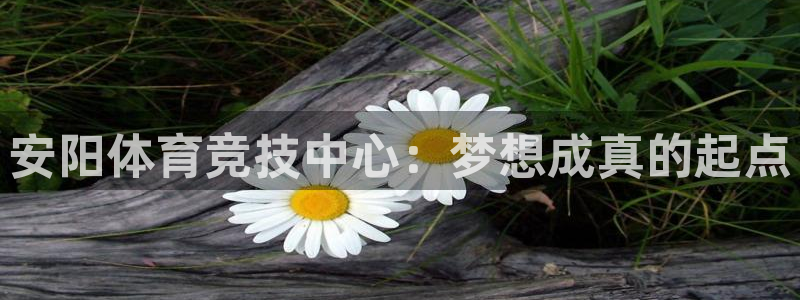 意昂44开户