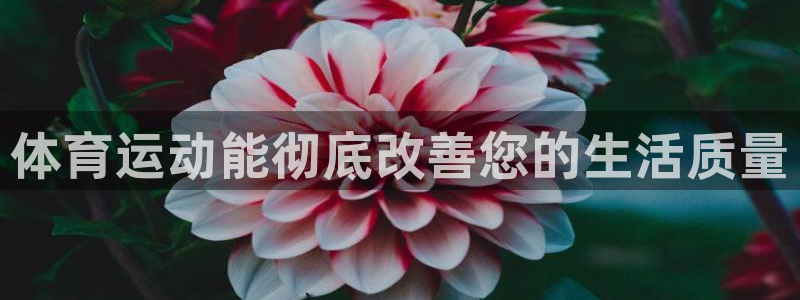 意昂4集团官网
