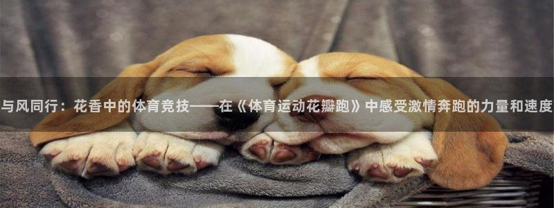 意昂4体育官网登录