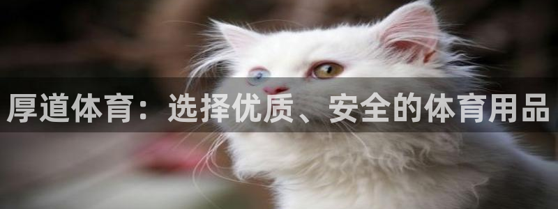意昂42代理注册
