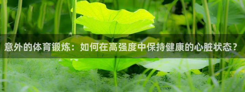 意昂4包怎么样