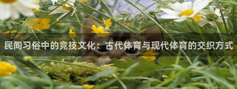 意昂4平台主管