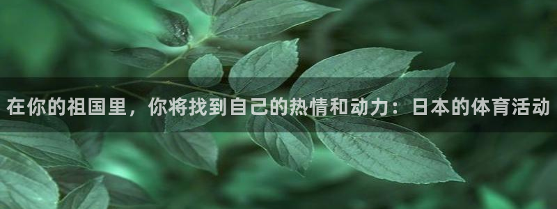 意昂4体育凯捷平台代理