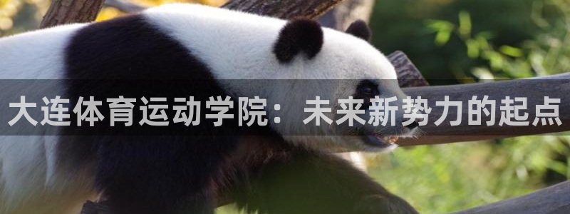 意昂4体育凯捷平台代理
