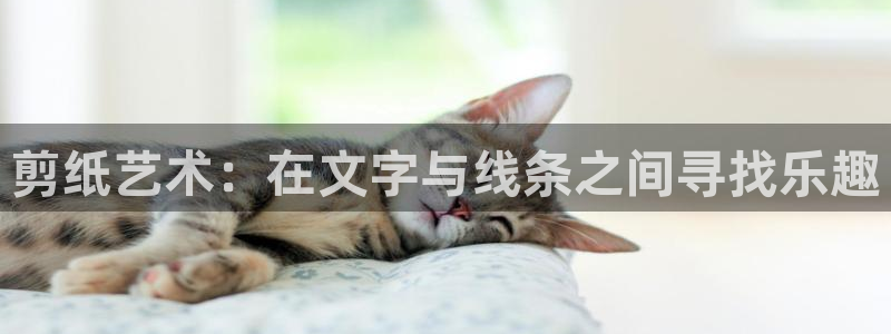 意昂4体育代理申请流程