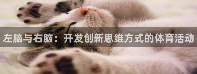 意昂44注册