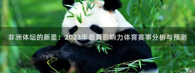 意昂4体育注册