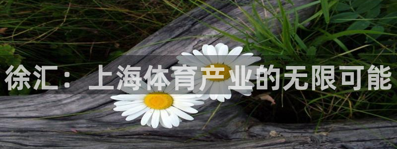 意昂4在线开号